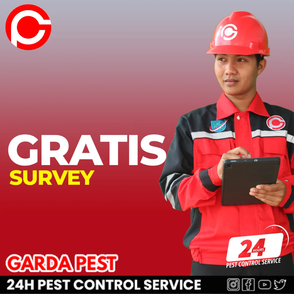 Jasa Anti Rayap Murah di Cibeber Cimahi