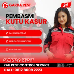 Jasa Pembasmi Kutu Kasur Jogja