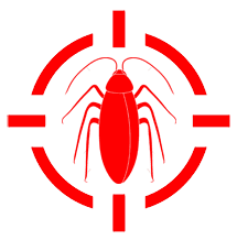 kecoa