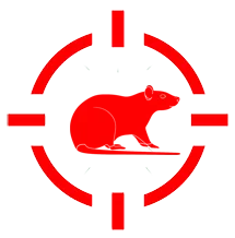 Tikus