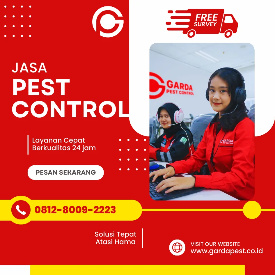 Jasa Pembasmi Rayap di Rumah