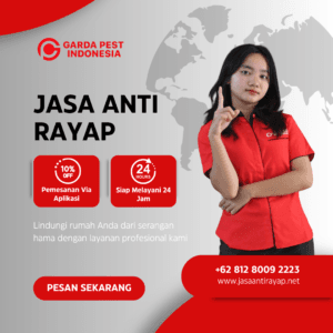Jasa Anti Rayap Terdekat