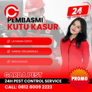 Jasa Pembasmi Kutu Kasur Jogja
