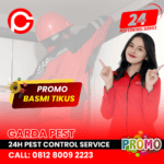 Jasa Pembasmi Tikus Jogja Jasa Basmi Tikus Bandung