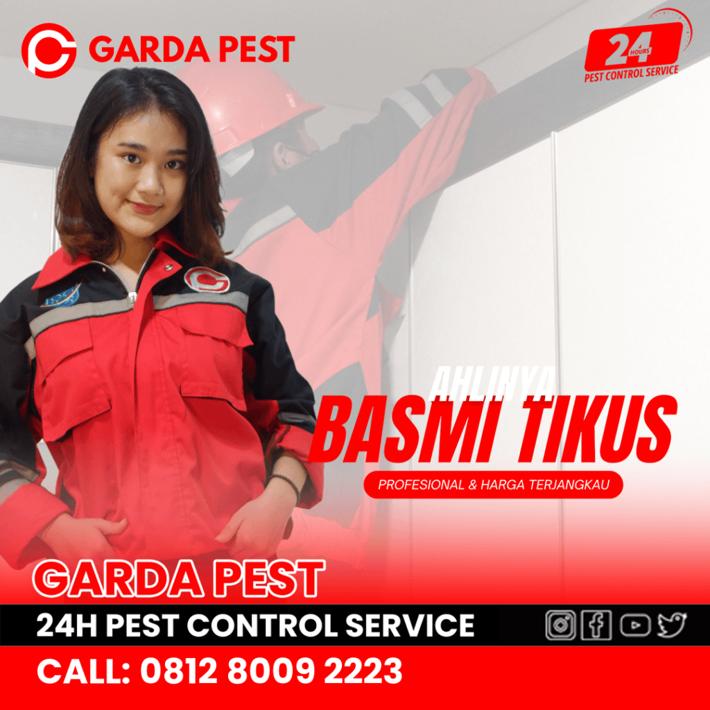 Jasa Pembasmi Tikus Karawang