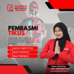 Jasa Pembasmi Tikus Murah di Pekalongan Raya