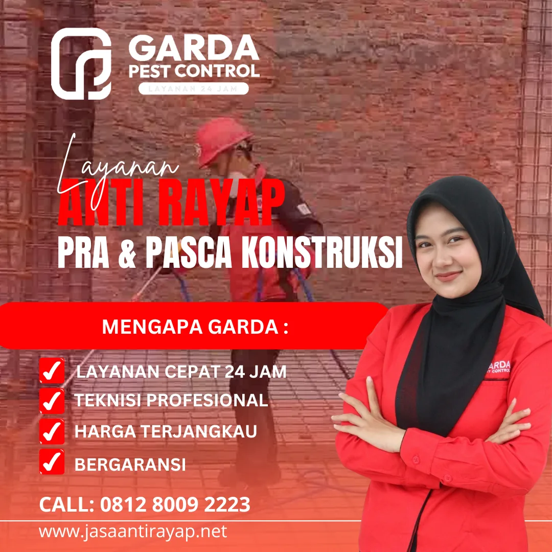 Jasa Anti Rayap Terdekat dan Terbaik