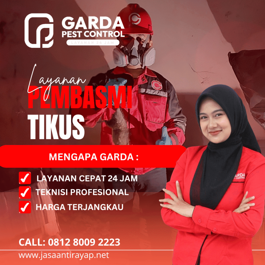 Jasa Pembasmi Tikus Terdekat Layanan 24 Jam