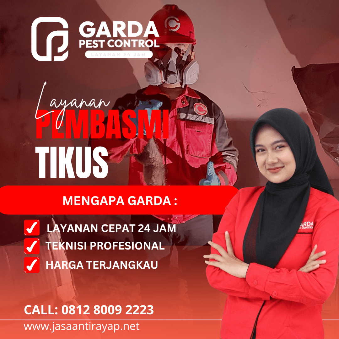 Jasa Pembasmi Tikus Terdekat Layanan 24 Jam Jasa Pembasmi Tikus Profesional dan Pengalaman