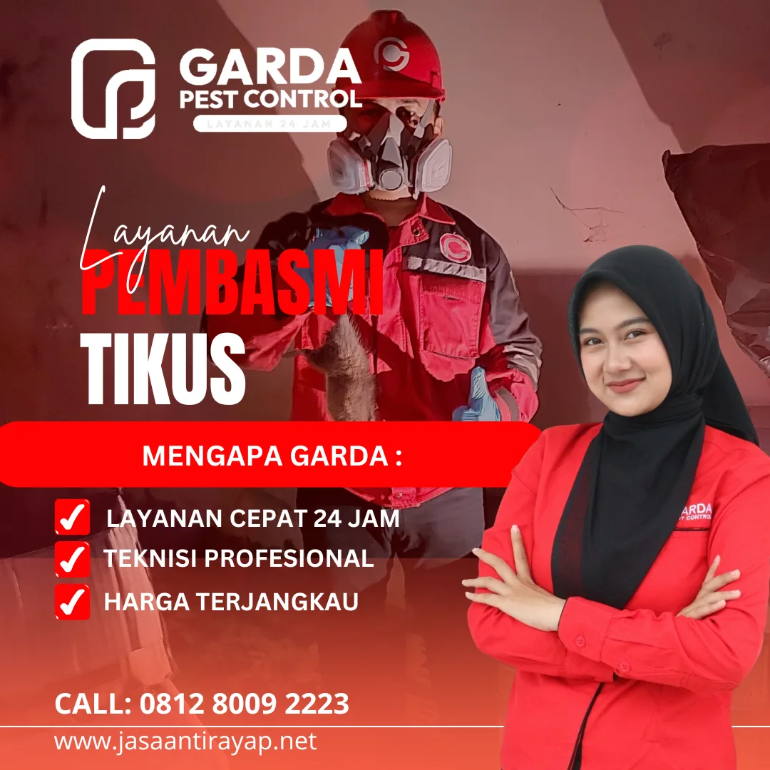 Jasa Pembasmi Tikus Profesional dan Pengalaman