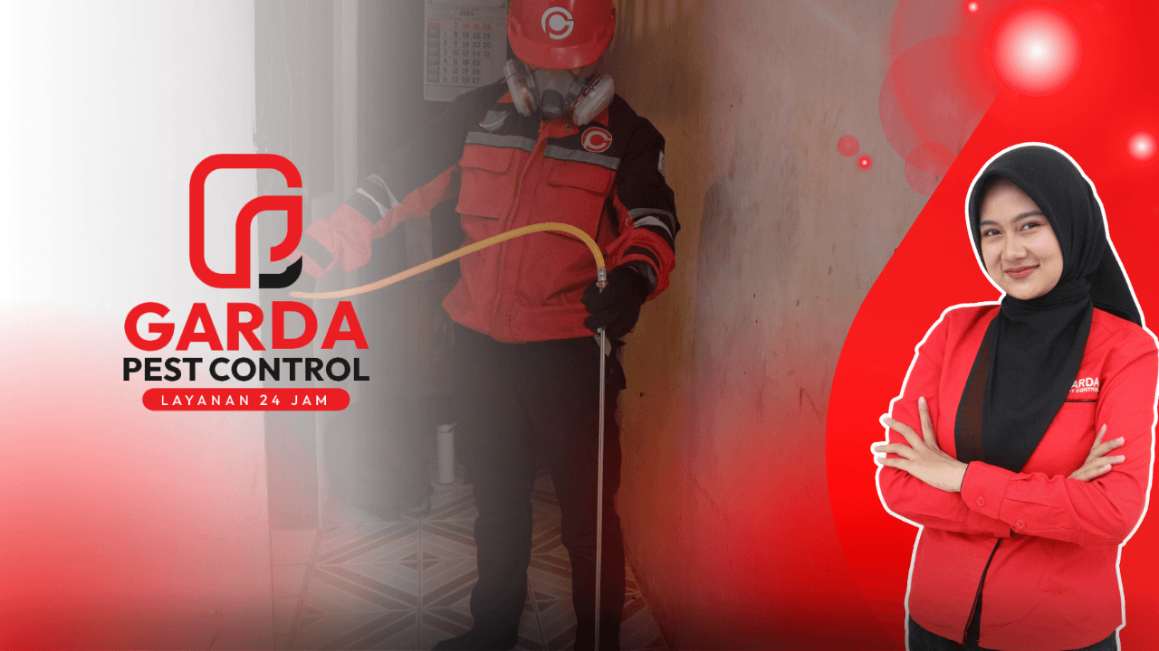 Jasa Anti Rayap di Depok Garda Solusinya