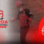 Pest Control Pembasmi Rayap