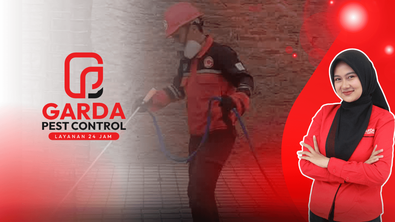 Pest Control Pembasmi Rayap