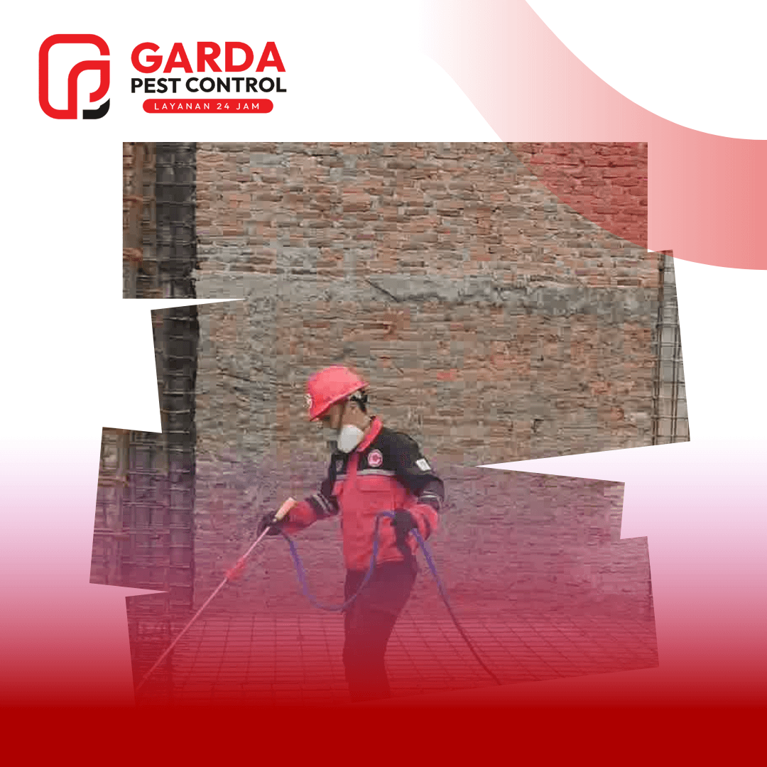 Berapa Biaya Jasa Anti Rayap di Bandung? Lihat Rincian Harganya di Sini!