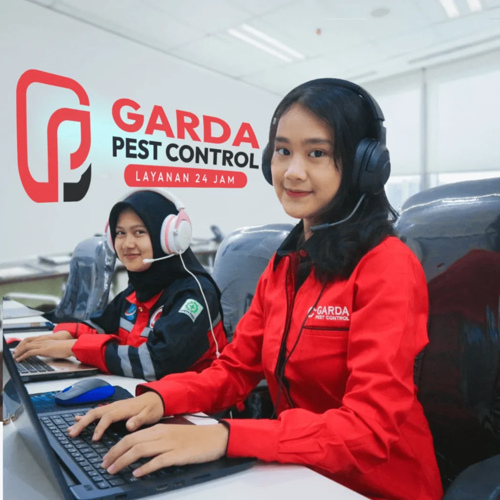 Jasa Pembasmi Tikus Terdekat Layanan 24 Jam