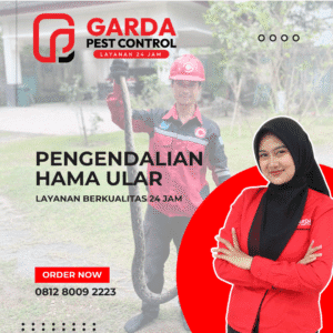 Penangkap Ular di Jakarta