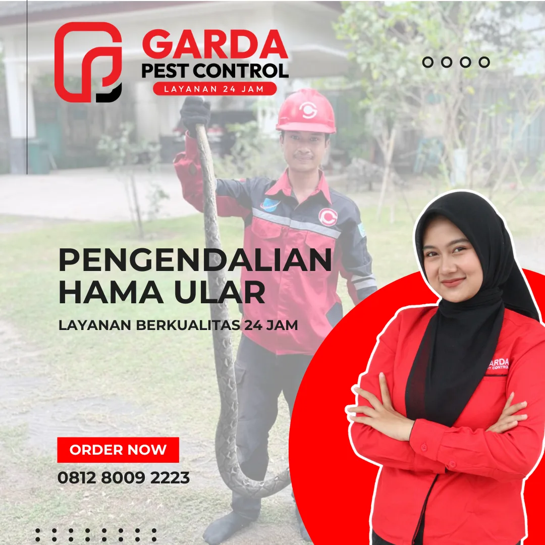Penangkap Ular di Jakarta