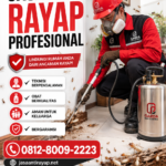 Jasa Anti Rayap Purwokerto